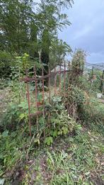 Oud ijzeren hek / poort, Tuin en Terras, Tuinhekken en Hekwerk, Ophalen, Gebruikt, IJzer, Sierhekwerk