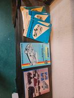 Renault 4 Boeken en Handleidingen, Ophalen of Verzenden, Gelezen, Renault, Tony Vos