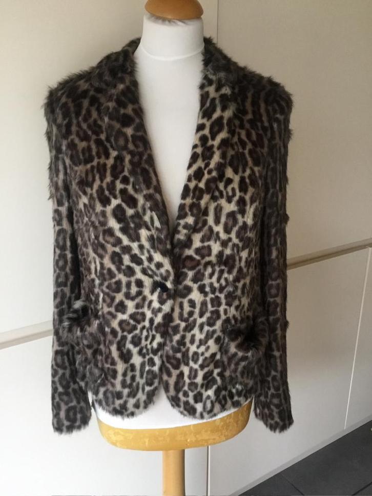 Marccain,Marc Cain vestje,jasje maat 5 (40), Kleding | Dames, Jasjes, Kostuums en Pakken, Zo goed als nieuw, Jasje, Maat 38/40 (M)