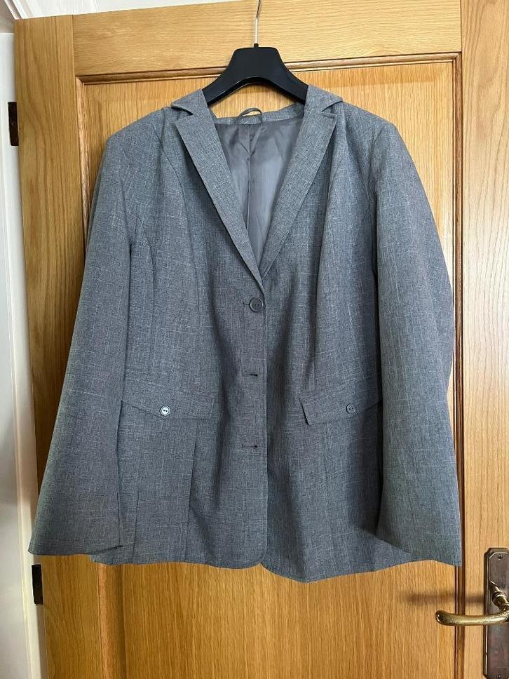 Hele mooie dames blazer Maat 48 Z.G.A.N., Kleding | Dames, Grote Maten, Zo goed als nieuw, Jasje of Colbert, Grijs, Ophalen of Verzenden