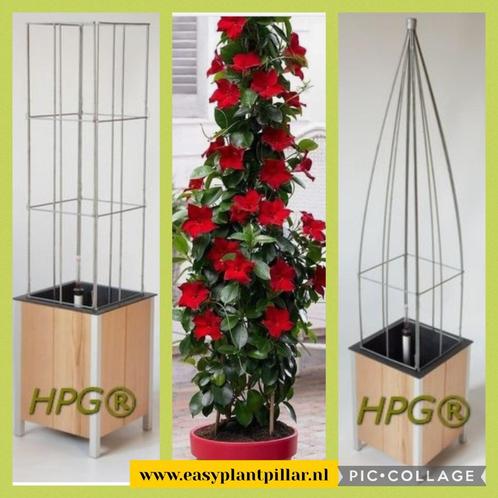 Plantensteunen klimplantrekken tuinartikelen tuinrekken, Tuin en Terras, Bergingen en Tuinkasten, Nieuw, Overige typen, Metaal