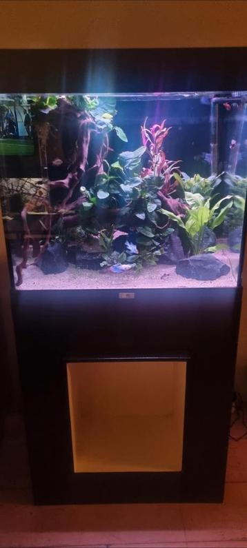 Aquarium met kast beschikbaar voor biedingen