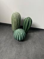 Decoratieve Cactus Beeldjes - Set van 3, Huis en Inrichting, Woonaccessoires | Overige, Ophalen, Zo goed als nieuw