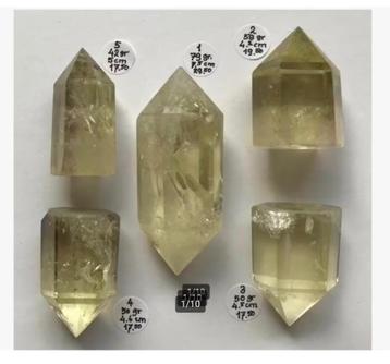 5 x Citrien: 4 Punten en 1 Dubbeleinder, prijs maat zie foto beschikbaar voor biedingen