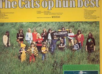The Cats- Eerst  (Story) LP - NEDERBEAT   VERZENDEN/OPHALEN