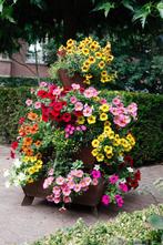 Cortenstalen bloementoren oftewel de orginele Stapeltuin, Ophalen, Zomer, Volle zon