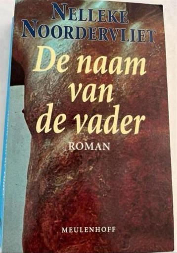 NELLEKE NOORDERVLIET DE NAAM VAN DE VADER ROMAN beschikbaar voor biedingen
