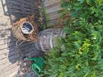 Wijn vat, Tuin en Terras, Regentonnen, 150 liter of meer, Ophalen, Gebruikt, Hout