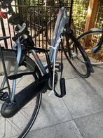 Springer Fietshaak fietsebeugel hond, Ophalen of Verzenden, Zo goed als nieuw