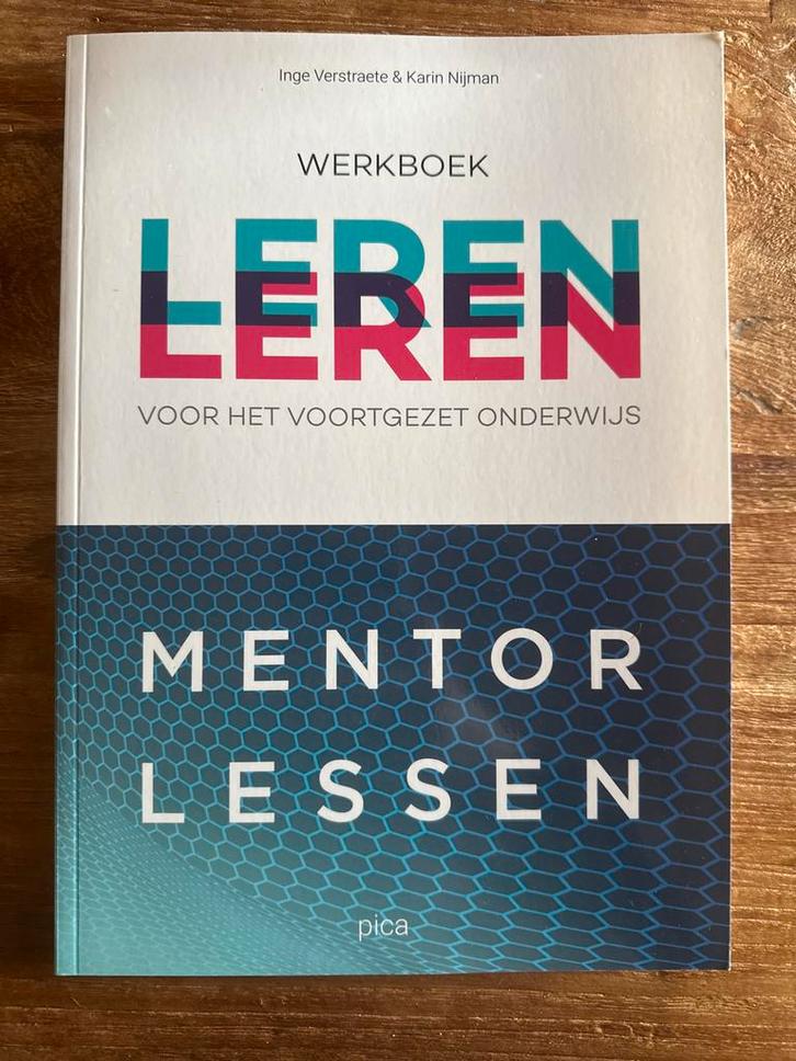 Mentor Lessen Werkboek Voortgezet Onderwijs, Boeken, Studieboeken en Cursussen, Zo goed als nieuw, HBO, Alpha, Ophalen of Verzenden