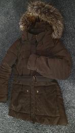 Winter jas maat S, Kleding | Dames, Ophalen of Verzenden