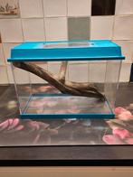 Terrarium, Dieren en Toebehoren, Reptielen en Amfibieën | Toebehoren, Ophalen, Gebruikt