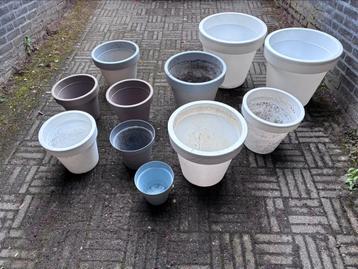 Bloempotten selectie beschikbaar voor biedingen