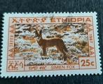 Ethiopië woestijnvos, Ophalen of Verzenden