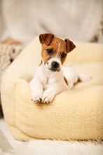 Hondenbed  Merino Wollen, Ophalen, Nieuw, Overige