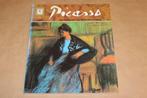 Picasso Museum Barcelona — Leven en Werk in Beeld, Boeken, Ophalen of Verzenden, Gelezen