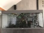 Eheim Pomp professionel4s met eventueel gratis Jewel quarium, Dieren en Toebehoren, Vissen | Aquaria en Toebehoren, Ophalen, Gebruikt