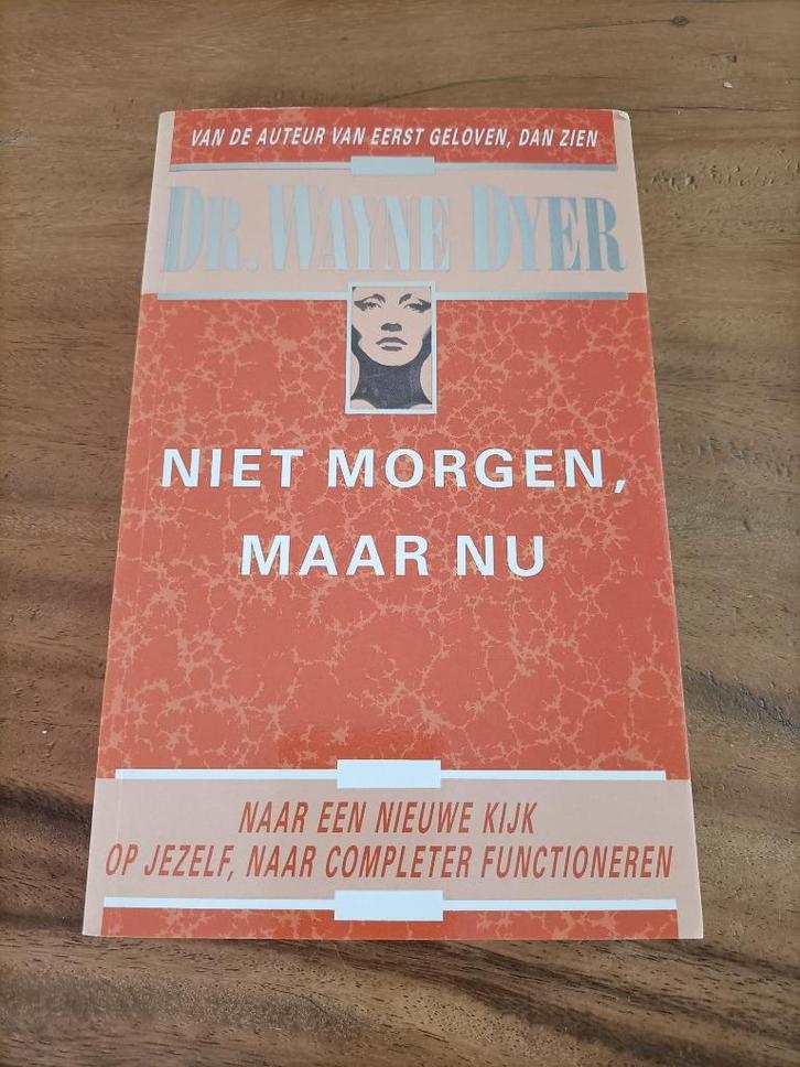 Boek: niet morgen, maar nu van Dr. Wayne Dyer, Boeken, Psychologie, Zo goed als nieuw, Ophalen of Verzenden