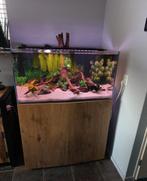 Scape aquarium als nieuw, Ophalen, Zo goed als nieuw, Leeg aquarium