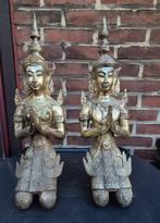 Tempelwachters, Ophalen of Verzenden