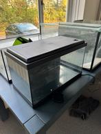 Verschillende Aquaria (bieden per stuk), Dieren en Toebehoren, Ophalen, Gebruikt, Plant(en), Steen of Hout