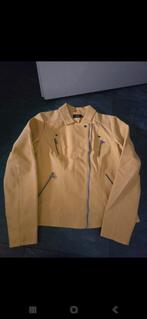 Dames jas (maat 38) nieuw, Kleding | Dames, Jassen | Winter, Ophalen of Verzenden, Zo goed als nieuw, Maat 38/40 (M)