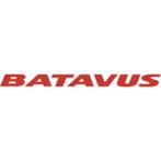 BATAVUS E-BIKES EN STADSFIETSEN DIRECT LEVERBAAR MEGA-BIKE!, Fietsen en Brommers, Ophalen, Nieuw, 50 km per accu of meer, Batavus