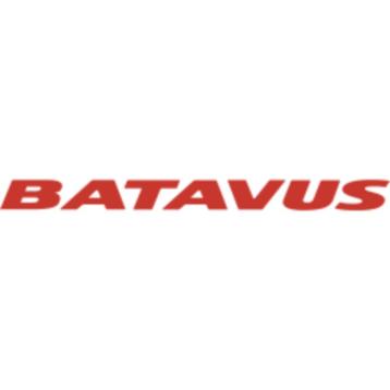 BATAVUS E-BIKES EN STADSFIETSEN DIRECT LEVERBAAR MEGA-BIKE! beschikbaar voor biedingen