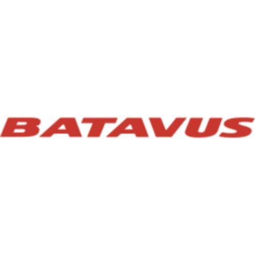 BATAVUS E-BIKES EN STADSFIETSEN DIRECT LEVERBAAR MEGA-BIKE!, Fietsen en Brommers, Elektrische fietsen, Nieuw, Batavus, 50 km per accu of meer