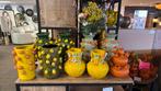 Kleurrijke vazen. Vogels/citroenen/bloemen 50% korting, Ophalen, Overige kleuren, Nieuw, Glas
