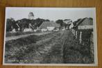 Ameland Nes, Gezicht  op Nes (zuidkant), Ophalen of Verzenden, 1940 tot 1960, Gelopen, Waddeneilanden
