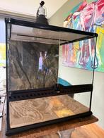 Terrarium Exo Terra 45x45x45 6mmd oud, Dieren en Toebehoren, Reptielen en Amfibieën | Toebehoren, Ophalen, Zo goed als nieuw