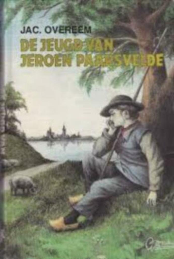 De Jeugd van jeroen paarsvelde Jac Overeem 9071420140, Boeken, Romans, Zo goed als nieuw, Ophalen of Verzenden