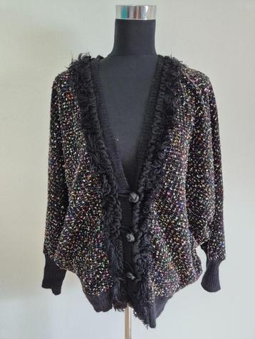 V53 - Fleurig Ana Alcazar vest met vleermuismouw mt 40 (1) beschikbaar voor biedingen