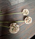 Zijden kunsttak Scabiosa bolletjes 3 stuks aan een tak., Ophalen of Verzenden, Zo goed als nieuw