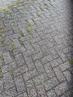 Gebruikte betonklinkers 8 cm dik grijs koopje, Klinkers, Ophalen of Verzenden, Zo goed als nieuw, 10 m² of meer