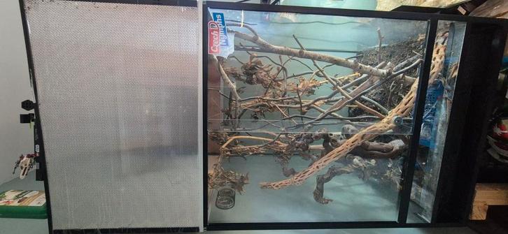 Terrarium, Dieren en Toebehoren, Reptielen en Amfibieën | Toebehoren, Gebruikt, Terrarium of Paludarium, Ophalen