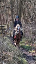 Verzorgpony/paard gezocht, verzorger/bijrijder aangeboden!, Dieren en Toebehoren, Paarden en Pony's | Overige Paardenspullen, Ophalen of Verzenden