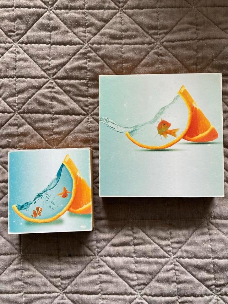 Decoratieve Blokken - Oranje Vissen, Huis en Inrichting, Woonaccessoires | Overige, Zo goed als nieuw, Ophalen of Verzenden