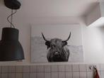 Schotse Hooglander Canvas Print, Huis en Inrichting, Minder dan 50 cm, Ophalen of Verzenden, Minder dan 50 cm, Print