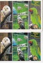 2 Franse (puzzel) ansichtkaarten vogels, uil, flamingo, Ophalen of Verzenden, 1980 tot heden, Ongelopen, Vogel