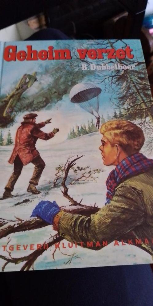Boek geheim verzet dubbelboer, Boeken, Oorlog en Militair, Zo goed als nieuw, Ophalen of Verzenden