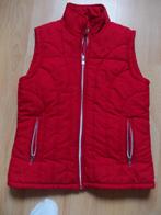 Mooie rode bodywarmer in maat 176., Ophalen, Persival, Meisje, Zo goed als nieuw