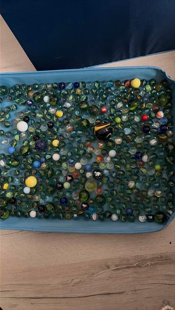 Knikkers beschikbaar voor biedingen