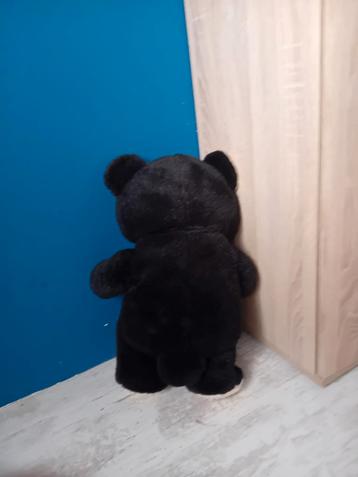 Knuffelberen te koop! beschikbaar voor biedingen