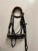 Harry’s horse hoofdstel panter Full nieuw, Ophalen of Verzenden, Nieuw, Dressuur
