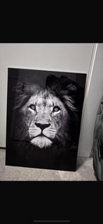 Leeuw schilderij, Ophalen, Zo goed als nieuw, Schilderij, Minder dan 50 cm