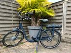 Batavus Entree E-Go-7, lage instap donkerblauw model 2024, Ophalen, Zo goed als nieuw, Batavus