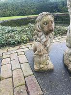 Prachtige Leeuwen Beelden - 55cm Hoog, Ophalen of Verzenden, Gebruikt, Beton, Dierenbeeld