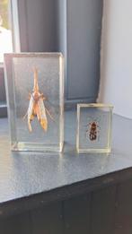 Set Exposy/ Hars insecten, Verzamelen, Dierenverzamelingen, Ophalen of Verzenden, Zo goed als nieuw, Paard, Beeldje of Figuurtje